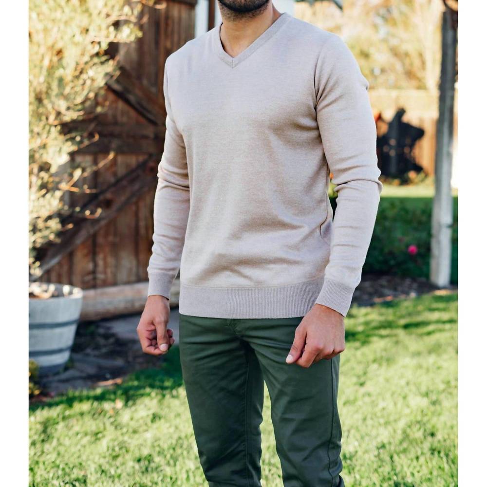 NEW WEIV soft touch chadwick v-neck dress sweater in beige